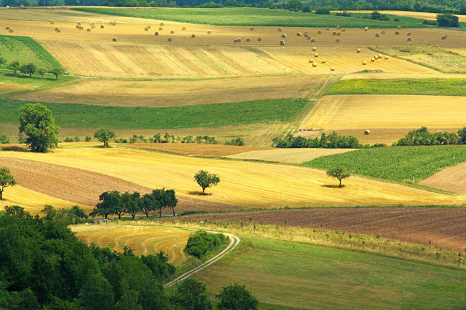 Vielfältige Agrarlandschaft in Bulgarien - Foto: Oliver Mohr/pixelio