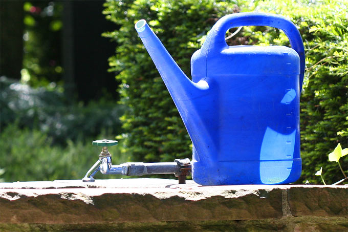 Wasser ist inzwischen nicht nur im Garten ein kostbarer Gut, mit dem wir sorgsam  haushalten sollten. - Foto: Helge May