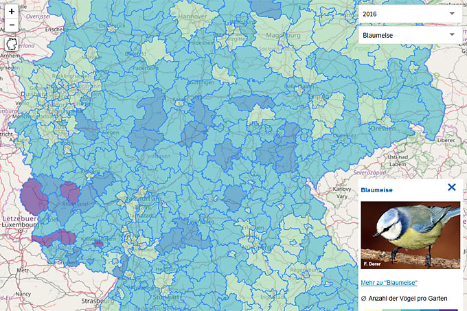 Screenshot SdW-Karte, Blaumeise