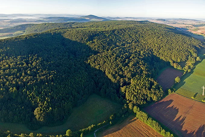 Naturwald Landecker Berg - Foto: Manfred Delpho