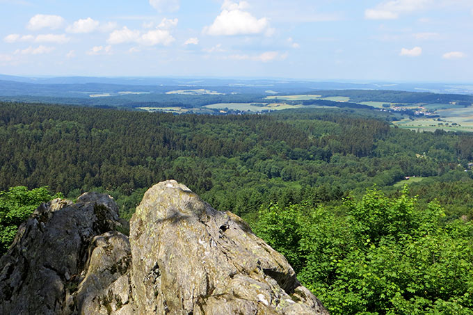 Potentielles Wildnisgebiet Taunushöhen (Hochtaunuskreis) -Foto: Sybille Winkelhaus