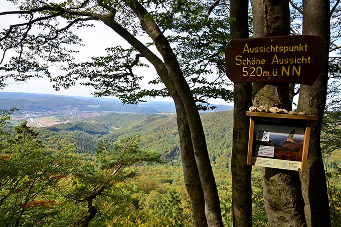Schöne Aussicht im Naturwald Hessische Schweiz - Foto: Diana Wetzestein