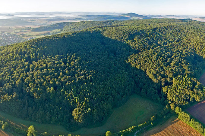 Naturwald "Landecker Berg" in der nördlichen Rhön - Foto: Manfred Delpho
