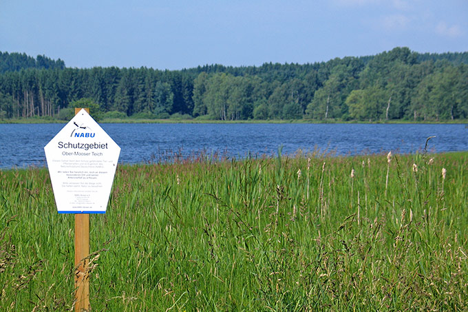 Schutzgebiet Ober-Mooser Teich - Foto: Hartmut Mai