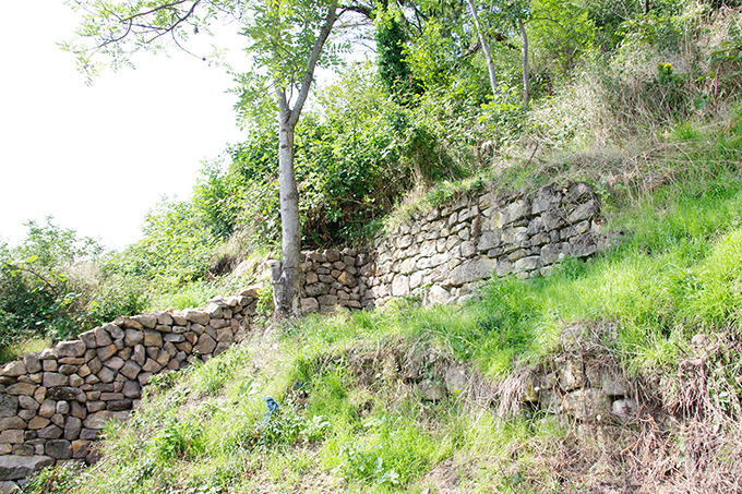 Natursteinmauern auf dem Schlossberg bei Heppenheim - Foto: Dominik Heinz