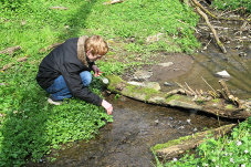 Ein junger Mann hockt am Bach und untersucht die Gewässergüte