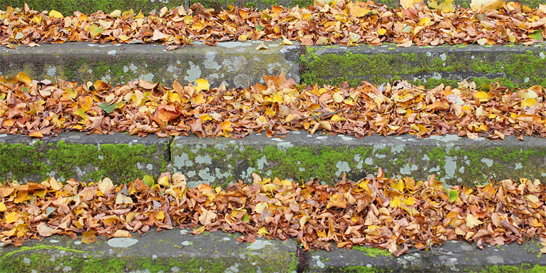 Treppe mit Herbstlaub - Foto: Helge May